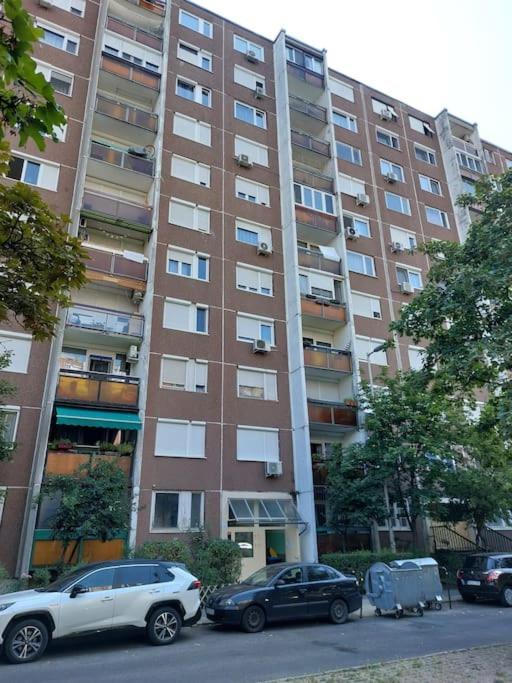 Erzsebet Apartman, Free Parking Budapest Ngoại thất bức ảnh