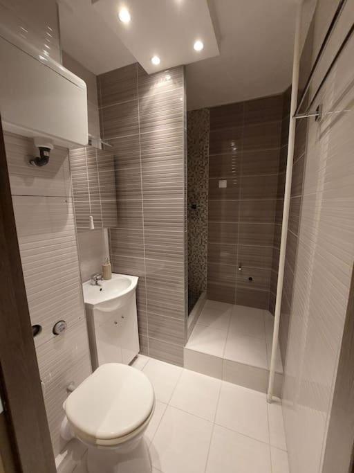 Erzsebet Apartman, Free Parking Budapest Ngoại thất bức ảnh