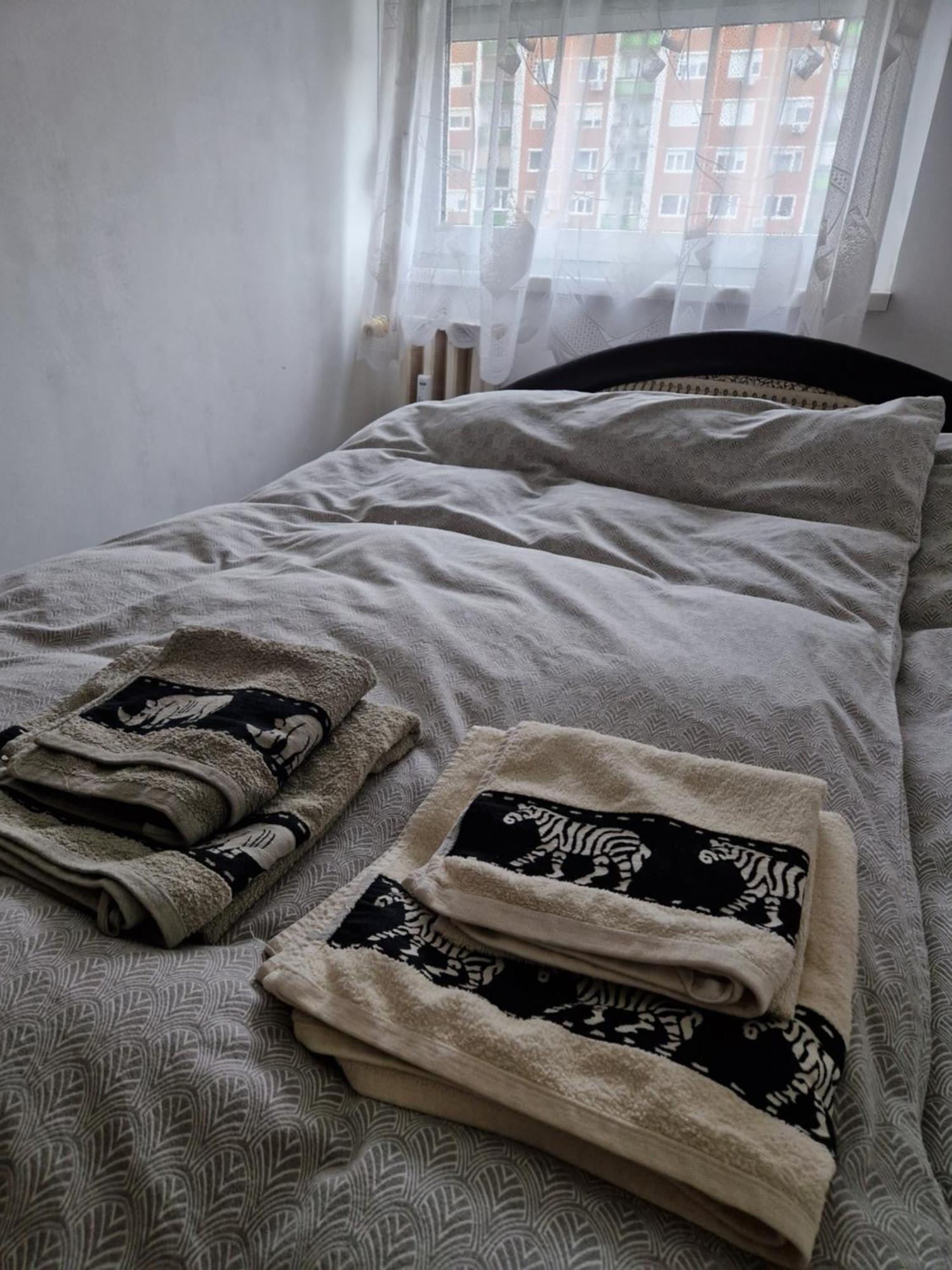 Erzsebet Apartman, Free Parking Budapest Ngoại thất bức ảnh